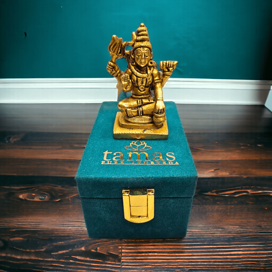 Brass Small Lord Shiva Statue